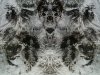 grego-art-3078