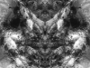 grego-feb-22-2010-2207