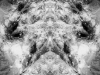 grego-feb-22-2010-2208