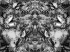 grego-feb-22-2010-2209