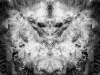 grego-feb-22-2010-2212