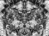 grego-feb-22-2010-2213
