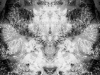 grego-feb-22-2010-2215