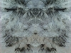 grego-feb-23-2010-2224