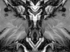 grego-feb-23-2010-2230