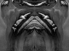 grego-feb-23-2010-2231