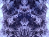 grego-mar-8-2010-2241