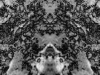 grego-mar-8-2010-2247