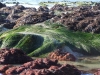 Pacifica Low Tide-13