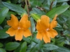 120708-sanpedropark009-darcyrowley_0