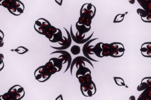 20130227-123423.jpg