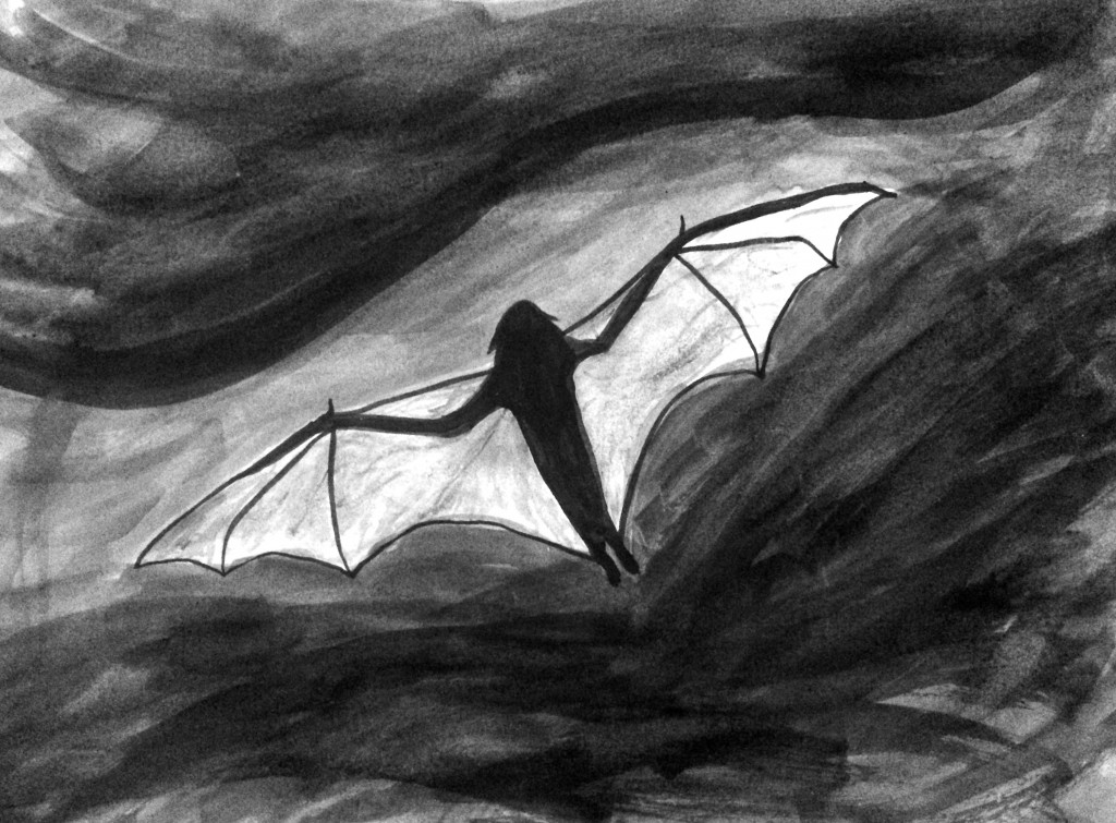 Bat in Gray Sky by Mark Bray October 15 2014