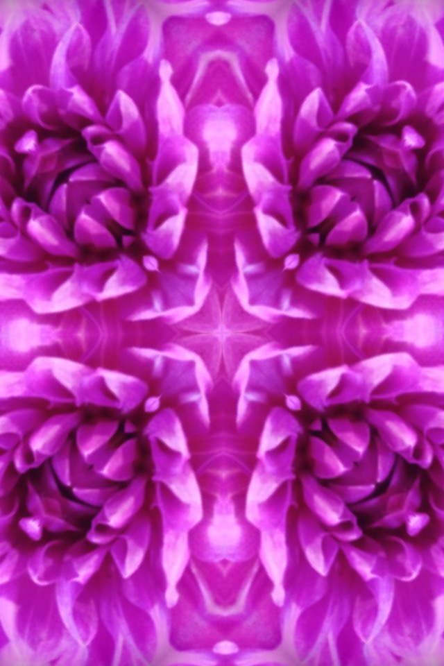 Flower Kaleidoscope by Mark Bray vs Darcy Rowley 141002 IMG_0527