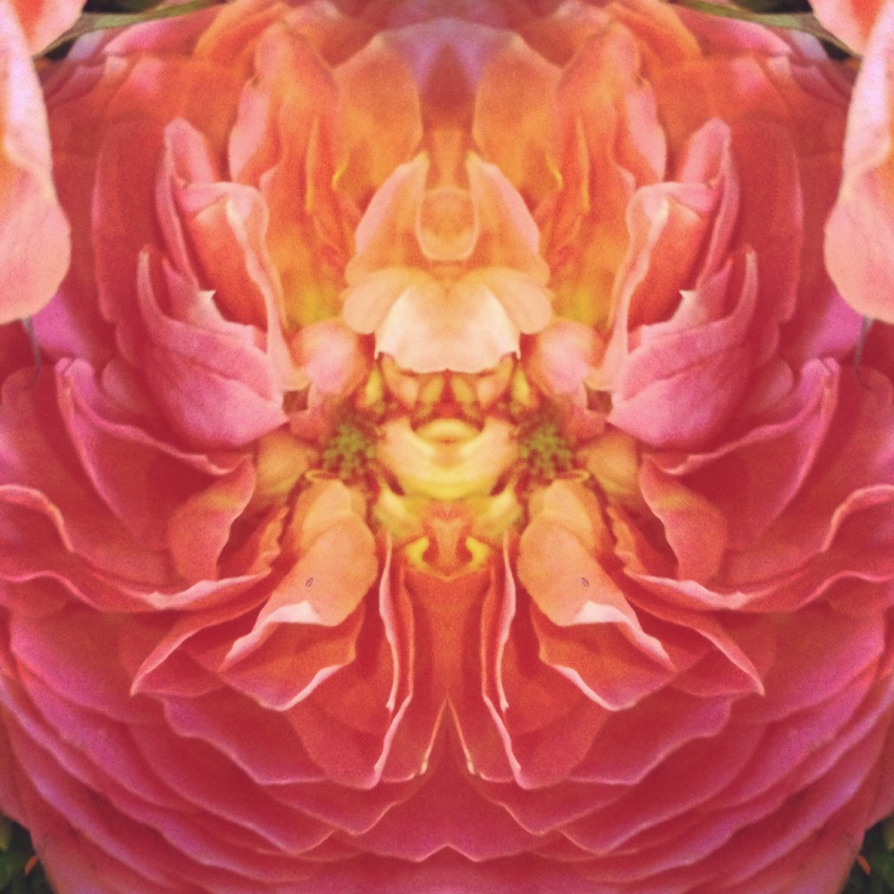 Come Hang Out At The Gallery With Me This Evening! …and some new art by Darcy and Mark