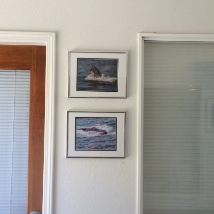 Quarry_Cove_Gallery_Shows_shot_by_Mark_Bray_IMG_7007