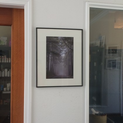 Quarry_Cove_Gallery_Shows_shot_by_Mark_Bray_IMG_7011