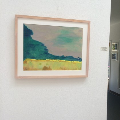 Quarry_Cove_Gallery_Shows_shot_by_Mark_Bray_IMG_7020