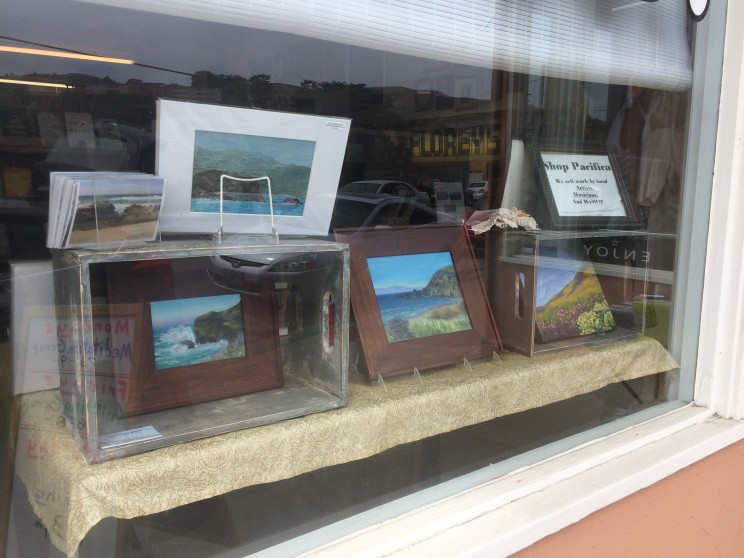 Janet Barker in the window at Florey's Book Co. during July.